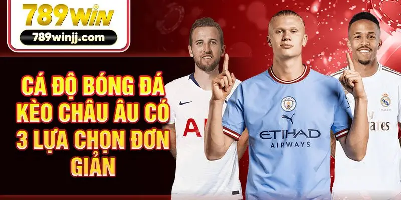 Cá độ bóng đá kèo châu Âu có 3 lựa chọn đơn giản Cá độ bóng đá kèo châu Âu có 3 lựa chọn đơn giản