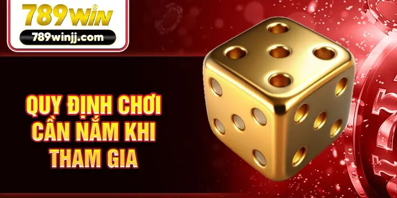 Quy định chơi cần nắm khi tham gia